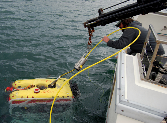 photo of submersible robot