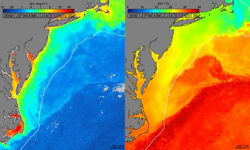 201501UPWELLING