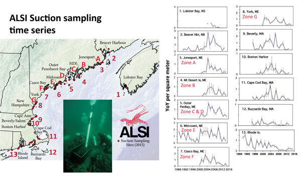 Sampling Chart