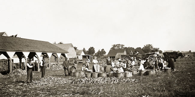 Farmers with corn