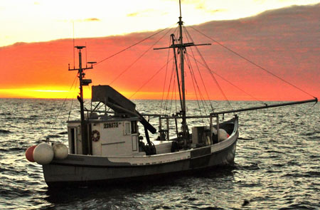 Herring trawler FV Providian