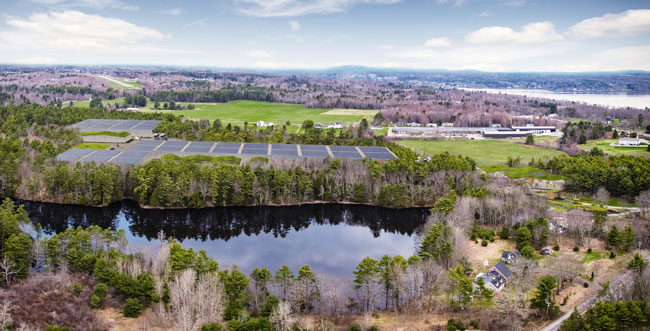 Salmon Farm Rendering