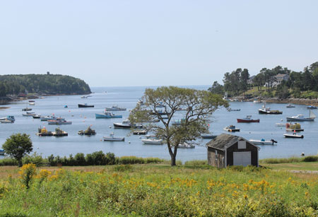 Photo of Mackerel Cove fishing village