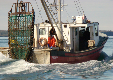 Fishing boat dragging urchins.