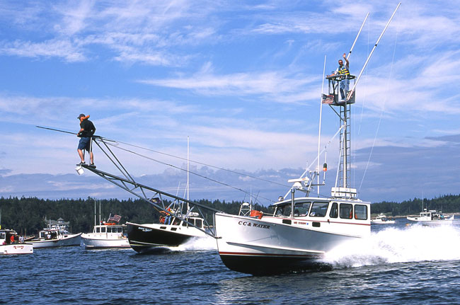 Lobster Boat Race